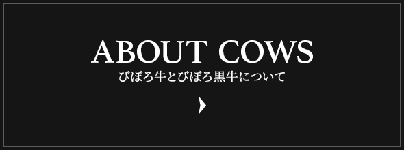 bnrhalf_aboutcows_off