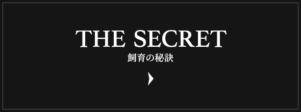 bnrhalf_thesecret_off
